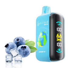 Elfbar Raya D3 25k Puff Disposable System | Indian Vape