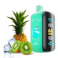 Elfbar Raya D3 25k Puff Disposable System | Indian Vape