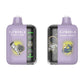 Elf World Plus 20000 | Animated Screen Disposable | Indian Vape Ninja Indian Vape Ninja